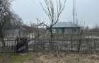 Casă cu Teren 2400 Mp în Toporu - 5
