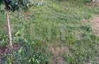 Proprietate de vanzare, 300 mp, zona Ocna Mures