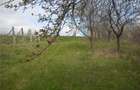 Teren Chicerea, Iasi, 6000 mp - 5
