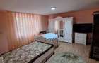 Casa de vanzare frumos renovata in Sepreus, Arad. 2 corpuri de cladire + gradina. Ocupabila imediat. - 6