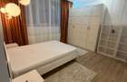 Apartament cu gradina la casa langa padurea Faget
