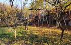 Teren 10 arii cu casa - 7