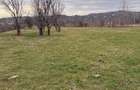 Brebu - teren intravilan 5200mp parcelabil - 25 Euro/mp - 2