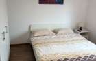 Apartament cu 4 camere decomandat în Valea Lupului