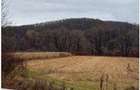 Teren extravilan arabil Baia de Cris, Hunedoara - 3070972 - 3