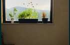 Casa si teren OFF GRID - 4