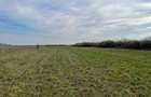Vand 1,7325 hectare Teren Arabil Extravilan Orasu Nou-Vii, jud. Satu Mare, Acte la Zi, Proprietar - 3