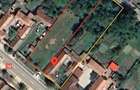 Casa la tara - 23km de Sibiu + teren 2300mp, sat Rusi - 14