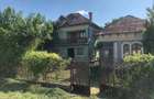 Casă cu Teren 10000 Mp în Preotești - 7
