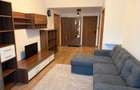 Inchiriere apartament 2 camere | Dristor IOR ParkLake - 2