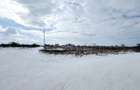 Teren Industrial Brasov 16.000mp zona INA Schaeffler - 3