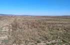 Teren intravilan, Centura Osorhei - 1