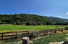 Oportunitate investitie resort/complex /pensiune ,Plaiul Foii Zarnesti - 5