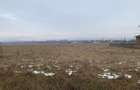 Cedare concesiune teren 2.000 mp | Todire?ti (Parhau?i) - 10