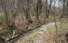 Teren intravilan 6.500 m²–Deschidere 144 ml drum european E81, km 35, Morăresti