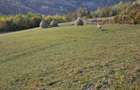 Inchiriez sau vand teren intravilan Muntele Rece - 10524 mp - 3