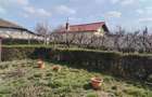 NEGRU VODA-Casa 5 camere garaj-livada 40 pomi fructiferi - Central - 14