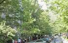 Apartament 3 camere Dristor Ramnicu Valcea 18 - 2
