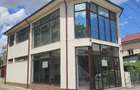Spatiu comercial de inchiriat - 1