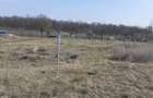 Vand teren intravilan 440mp padure Vladimirescu - 4