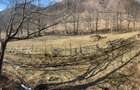 Teren Nehoiu, pentru cabană offgrid sau glamping - 3