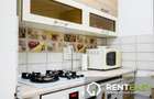 Apartament cu o camera situat in zona Palas - Anastasie Panu - 5
