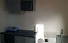 Grasoniera 25mp zona T.Vladimirescu finisata 34000eur neg - 11
