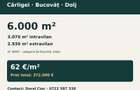 Teren 6.000 mp Carligei, Bucovat 3 km de intrarea in Craiova