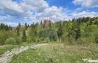 Teren 4048mp Campulung Moldovenesc, Strada Izvorul Alb, S... - 9