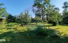Casa de vanzare | Snagov | Strada Ion C Baicoianu - 2