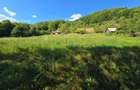 Vand teren 10,5 ha cu casa si sura, 3 izvoare, Bistrita - 2