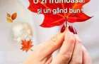De inchiriat. Zona judetean. Parter.parcare.pret negociabil