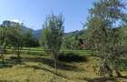 Teren intravilan ?i casa de vanzare, 3980 mp - 3