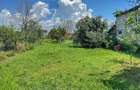 Casa batraneasca cu 3 camere-Oportunitate de Investi?ie in Domnesti - 8