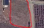 Vand teren intravilan in Bucureasa 2000m2 - 5