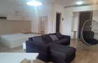 APARTAMENT-Studio OPEN SPACE MODERN LUX , PARCUL TINERETULUI
