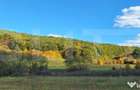 Teren intravilan de vanzare in Bozeni 1.500 m2 | Idea - 1
