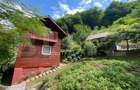 Casa de vacanta cu 4 camere, 1470 mp teren, Sugag - 9