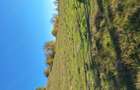 Vand Teren in Curtea de Arges suprafata 5000mp - 2