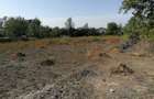 Casa de inchiriat in com Tudor Vladimirescu, sat Scortaru Vechi/Braila curte 5000mp pret 1000 ron negociabil - 8