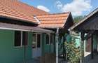 Casa de vanzare loc zerindu mic - 2
