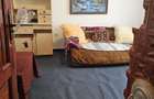 Apartament 2 camere sat Arsura - 4