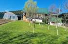Vand casa in Com.Frumosu Jud.Suceava - 1