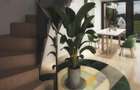 Case de vanzare Ultracentral Arad, AVALON ONE - 5