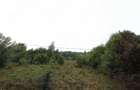 Teren intravilan Rusca Montana 7100mp
