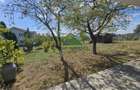 Casa cu teren 1.150 mp | Cicarlau