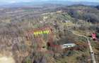 Constructie + teren de vanzare in comuna Valea Iasului, judet Arges. - 7