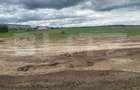 Teren intravilan, 8000 mp, DN 71 - Vacaresti (Dambovita)
