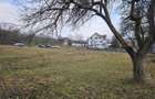 Teren 5000 mp la Bradu