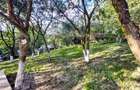 Casa de vanzare, 80 mp, teren 1903 mp, livada, sat Vechea-Ch - 17
